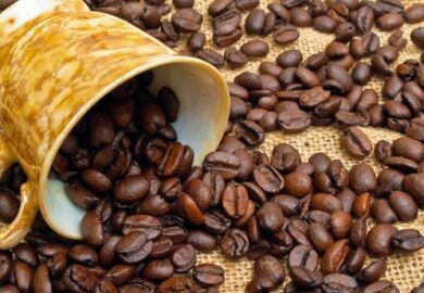 Côte d’Ivoire : comment le Conseil café-cacao joue la montre face à la chute des cours