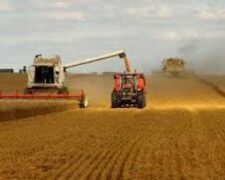 La production agricole en Afrique augmenterait davantage qu&rsquo;en Asie ces 10 prochaines années