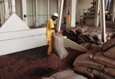 Agroalimentaire : les bonnes récoltes font plonger le cacao