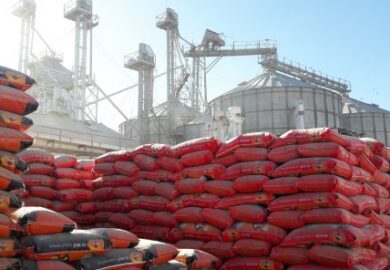 Agroalimentaire : privé de riz, le sénégalais Vital tire le signal d’alarme