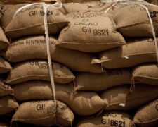 Le CCC suspend pendant 10 ans le négoce du cacao de Sopex en Côte d’Ivoire
