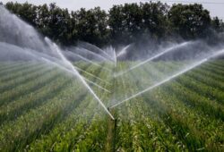Le Mali veut mobiliser 573 millions $ pour renforcer l’irrigation agricole d’ici 2034