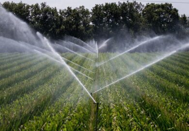 Le Mali veut mobiliser 573 millions $ pour renforcer l’irrigation agricole d’ici 2034
