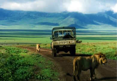 La Tanzanie veut étendre la superficie irriguée d’environ 30 000 hectares en 2025/2026