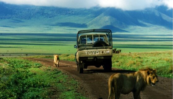 La Tanzanie veut étendre la superficie irriguée d’environ 30 000 hectares en 2025/2026