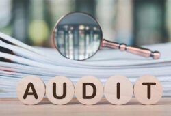 Audit au Nigeria : les Big Four captent 99% du marché en 2024