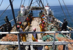 Lutte contre la pêche illicite : 6 pays du Golfe de Guinée peaufinent leur stratégie régionale