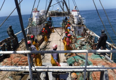 Lutte contre la pêche illicite : 6 pays du Golfe de Guinée peaufinent leur stratégie régionale
