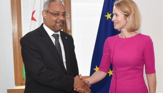 Rencontre entre Kaja Kallas et Abdoulkader Houssein Omar, Ministre des Affaires étrangères de Djibouti (Images)