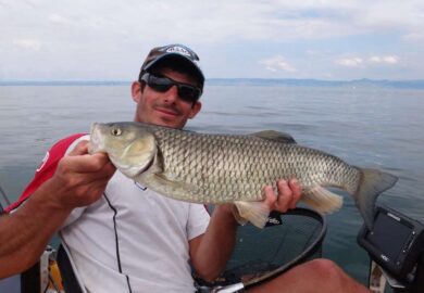 Pêche : qui consomme le plus de poissons en Europe ?