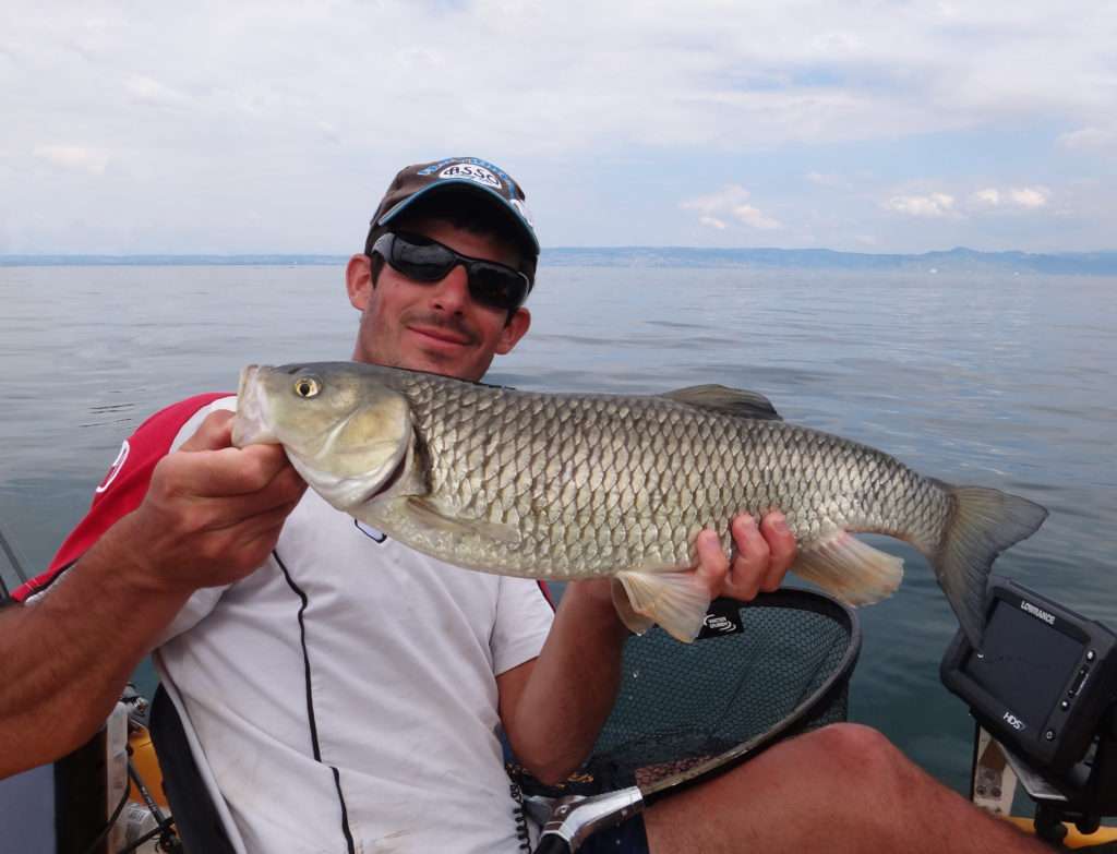 Pêche : qui consomme le plus de poissons en Europe ?