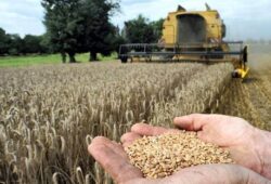 Connaissez-vous… les premiers pays agricoles de l&rsquo;Union européenne ?