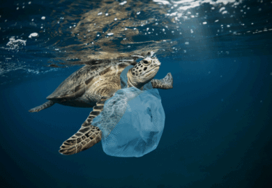 Comment l&rsquo;Union européenne agit face au fléau du plastique dans les mers et les océans ?