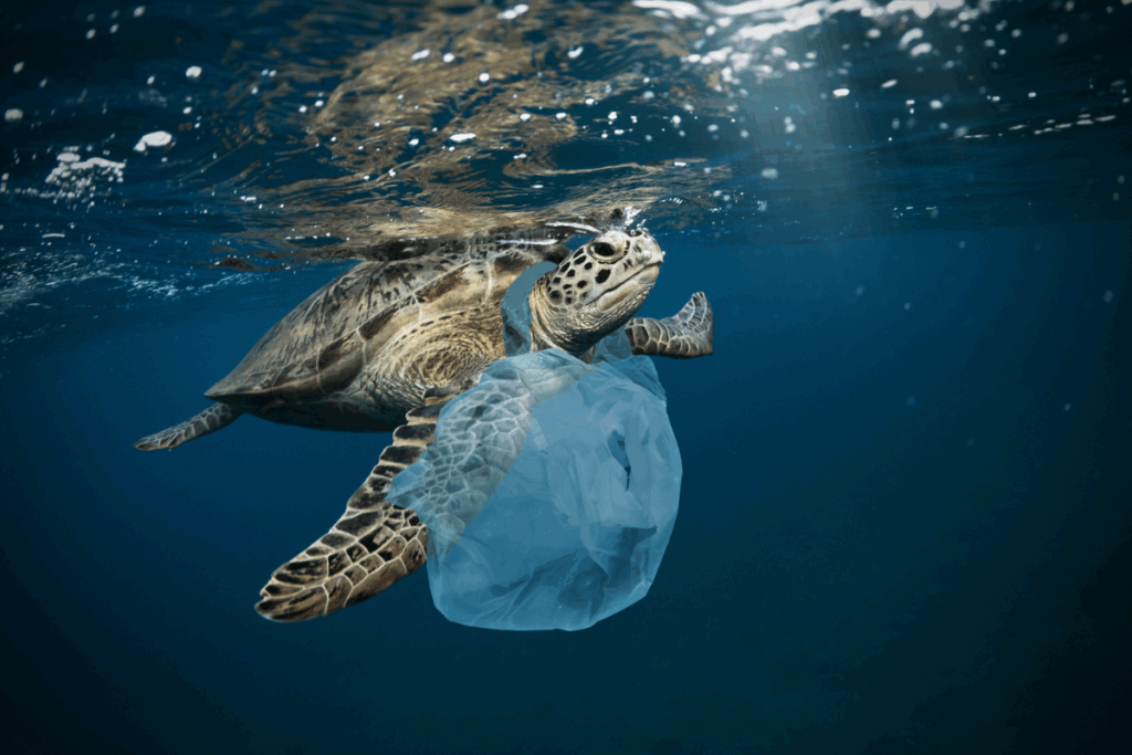 Comment l&rsquo;Union européenne agit face au fléau du plastique dans les mers et les océans ?