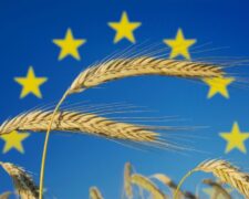 Production, revenu, pesticides… 7 chiffres sur l&rsquo;agriculture en Europe