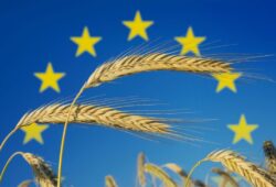 Production, revenu, pesticides… 7 chiffres sur l&rsquo;agriculture en Europe