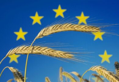 Production, revenu, pesticides… 7 chiffres sur l&rsquo;agriculture en Europe