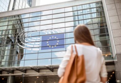 A quoi sert un assistant parlementaire au Parlement européen ?