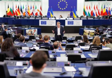 Portraits d&rsquo;eurodéputés : qui sont les chefs des délégations françaises au Parlement européen ?