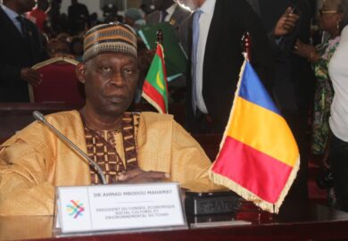 Entretien de Monsieur le Président du Conseil économique, social, culturel et environnemental (CESCE) du Tchad