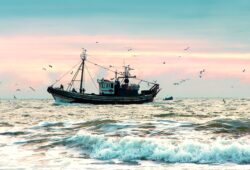 Brexit : 10 chiffres clés pour comprendre la pêche en Europe