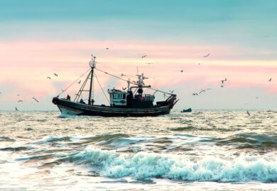 Brexit : 10 chiffres clés pour comprendre la pêche en Europe
