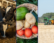 Qu&rsquo;est-ce que la politique agricole commune (PAC) de l&rsquo;Union européenne ?