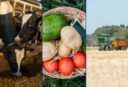 Qu&rsquo;est-ce que la politique agricole commune (PAC) de l&rsquo;Union européenne ?