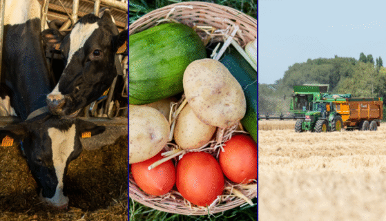 Qu&rsquo;est-ce que la politique agricole commune (PAC) de l&rsquo;Union européenne ?