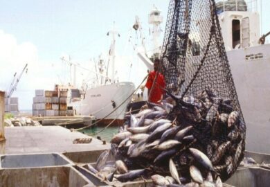Poisson : l’Afrique connaîtra la plus forte hausse de consommation au niveau mondial d’ici 2034