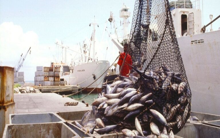 Poisson : l’Afrique connaîtra la plus forte hausse de consommation au niveau mondial d’ici 2034
