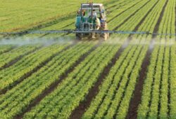 Agriculture et agro-industrie africaines : le Top 5 des infos marquantes de la semaine