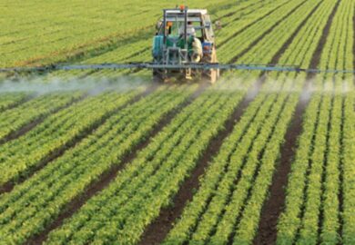Agriculture et agro-industrie africaines : le Top 5 des infos marquantes de la semaine