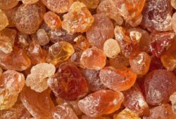 Gomme arabique : le Tchad, premier fournisseur africain des USA depuis le début d’année