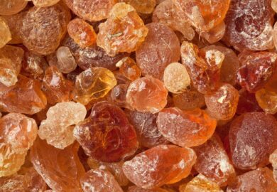 Gomme arabique : le Tchad, premier fournisseur africain des USA depuis le début d’année