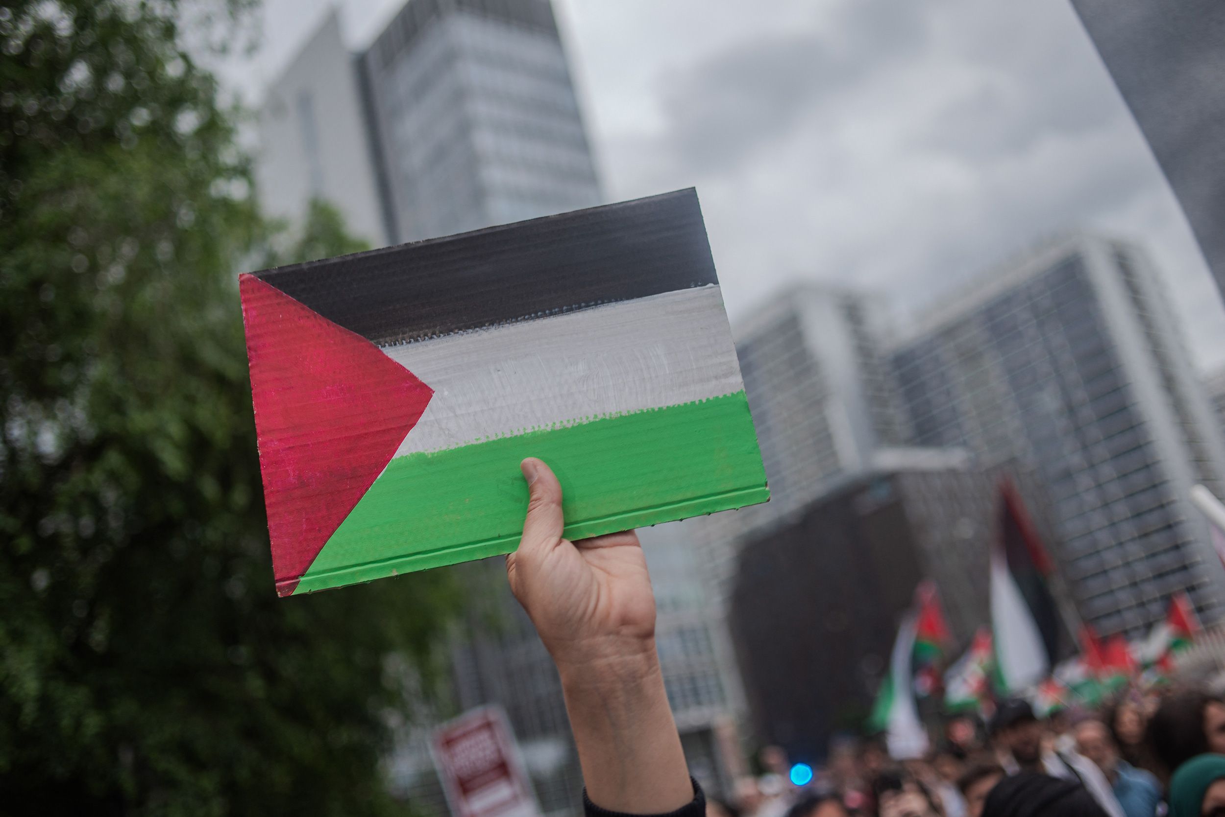 Quels États membres de l&rsquo;Union européenne reconnaissent la Palestine ?
