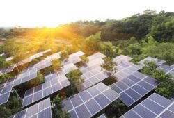 Développement des infrastructures et de l’énergie