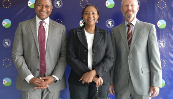 Le Chef de la coopération de l&rsquo;UE, Gerald Hatler, et M. Mamadou Dian Balde, Directeur régional du UNHCR à Djibouti