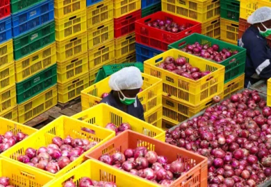 Commerce alimentaire en Afrique de l’Ouest : entre défis récurrents et nouvelles opportunités de croissance