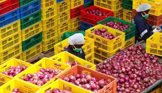 Commerce alimentaire en Afrique de l’Ouest : entre défis récurrents et nouvelles opportunités de croissance