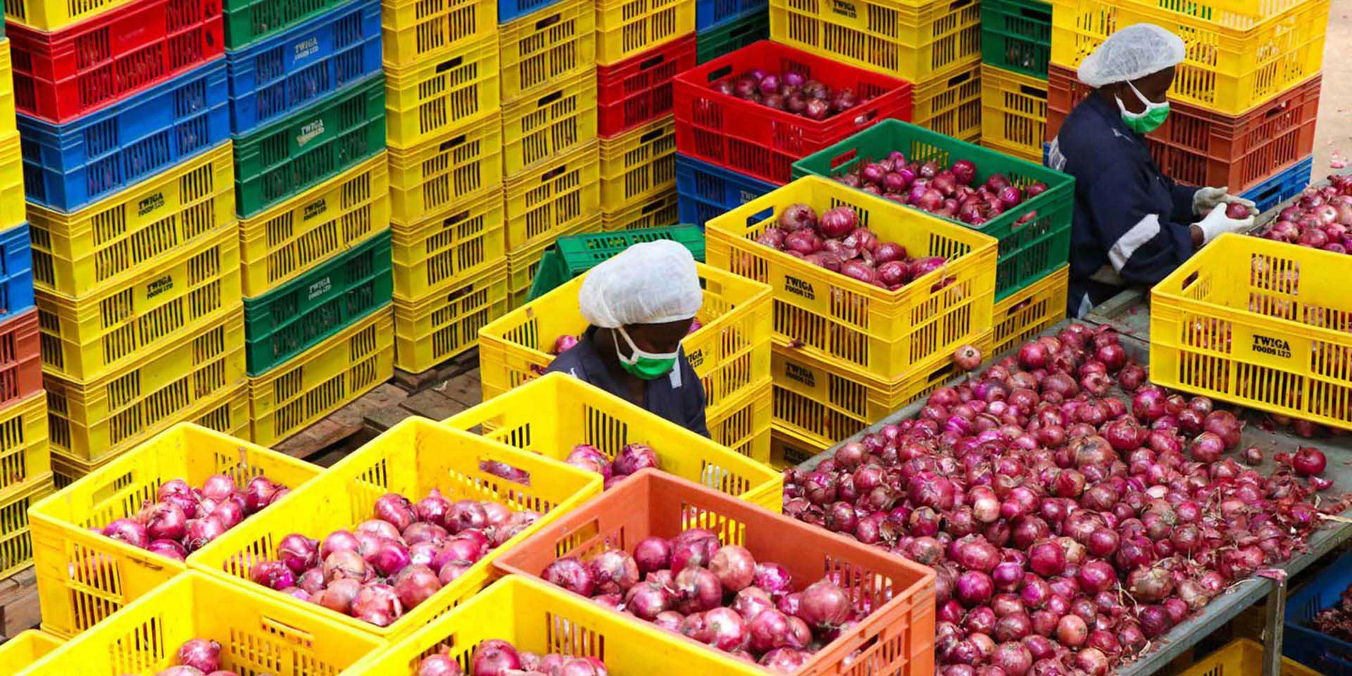 Commerce alimentaire en Afrique de l’Ouest : entre défis récurrents et nouvelles opportunités de croissance
