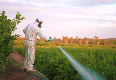 L’UE a autorisé l’exportation de 9000 tonnes de pesticides interdits vers l’Afrique en 2024 (Public Eye)