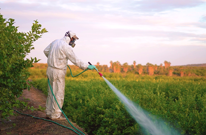 L’UE a autorisé l’exportation de 9000 tonnes de pesticides interdits vers l’Afrique en 2024 (Public Eye)