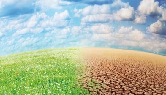 Sierra Leone : 18 millions $ de la Banque mondiale pour financer la résilience climatique