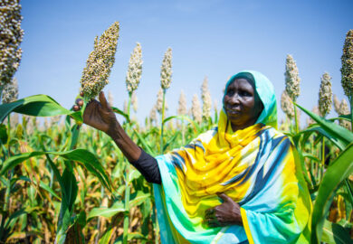 La Guinée sécurise 35 millions $ pour le secteur agricole avec l’appui de la FAO