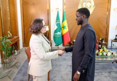 Bassirou Diomaye Faye, a reçu la nouvelle cheffe de mission du FMI [Images]