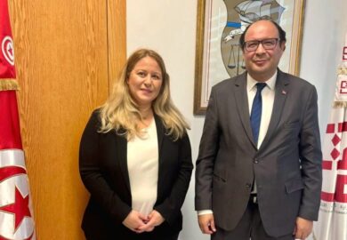 L&rsquo;Ambassadrice Nadia Hai, s’est entretenue avec Sofiene Hemissi, ministre tunisien des Technologies de la Communication