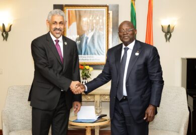 Sommet de l&rsquo;Union Africaine, série d’échanges stratégiques avec deux acteurs majeurs du développement en Afrique [Images]