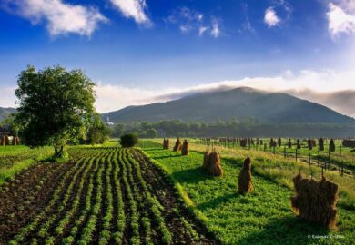 Qu&rsquo;est-ce que la politique agricole commune (PAC) de l&rsquo;Union européenne ?