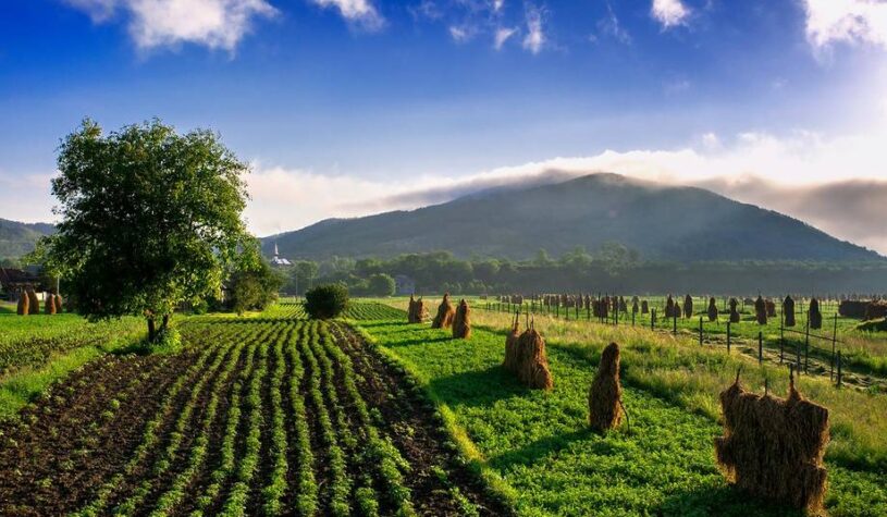 Qu&rsquo;est-ce que la politique agricole commune (PAC) de l&rsquo;Union européenne ?